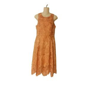 White House Black Market Pink Peach Lace Overlay Fit n Flare Dress size 6 EUC